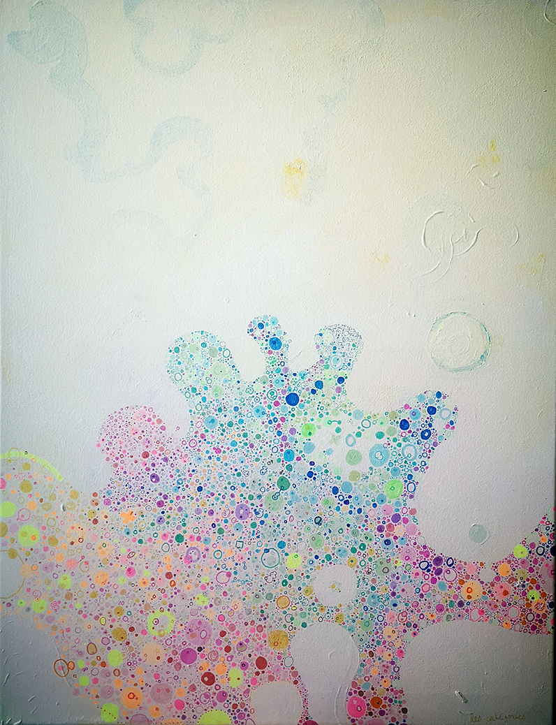 Catégories